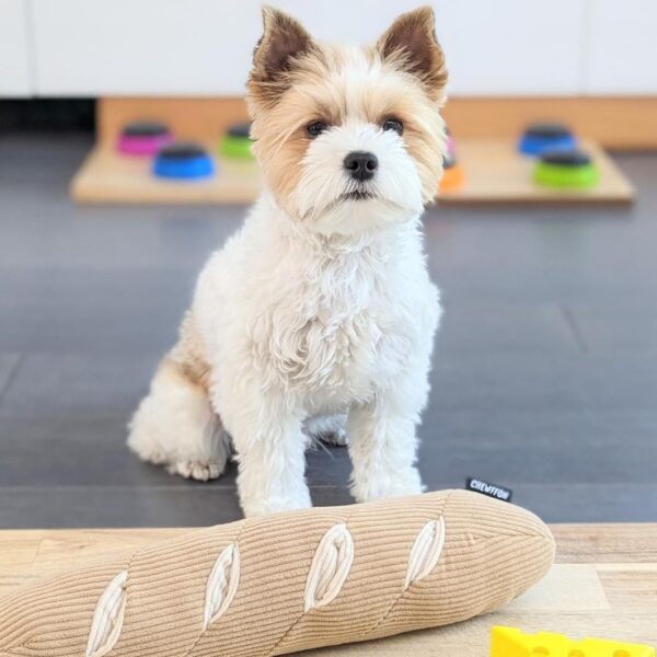 CHEWFFON Dog Toy, Interactive Dog Toys, Enrichment Dog Toys for Boredom,Dog Puzzle Toys, Squeak Dog Toys Stress Release,Dog Snuffle Toys Foraging Instinct Training Suitable for Medium and Large Dogs - Image 5