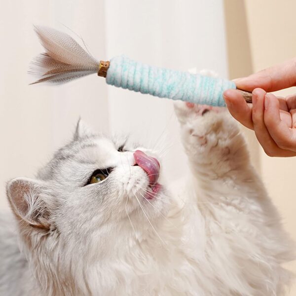 Silvervine Chew Sticks, Kitten Teething Toys for Indoor Cat Chew Toy Natural Matatabi Cat Catnip Sticks Cat Teeth Cleaning and Stress Release - Image 7