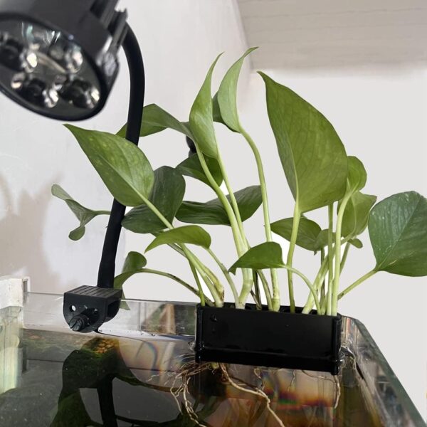 Pinafresa 2PCS Open Face Emerging Plant Holder, Aquarium Hanging Aquatic Plant Holder Fish Tank Decorations for Emersed Plants, A - Image 8