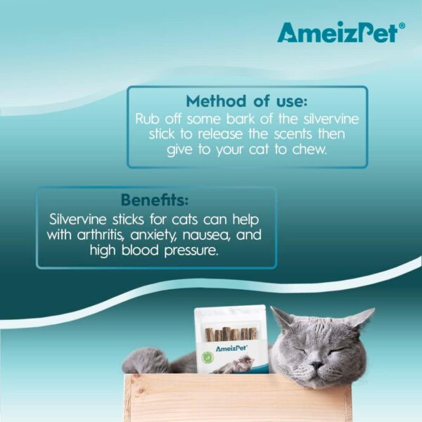 AmeizPet Catnip Sticks For Cats, Cat Dental Chew Sticks - Natural Matatabi Cat Dental Care, Silvervine Cat Teeth Cleaning Dental Sticks 6 Pcs - Image 4