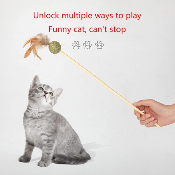 BAHJKASD Kitten Wand Sticks For Cats Sticks Chew Sticks Teeth Molar For Cat Kitten Teeth 20inch Long Cat Wand Toys For Indoor Cats - Image 6