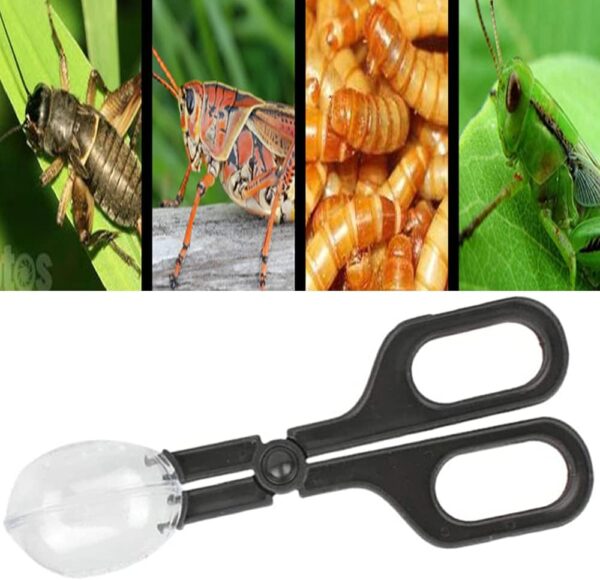 NA 3 Pieces Reptile Feeding Clip Tongs Reptile Feeding Scooper Clamp Lizard Beetle Insect Catch Clamp for Tortoise Lizard Frog Spider Tarantulas - Image 6