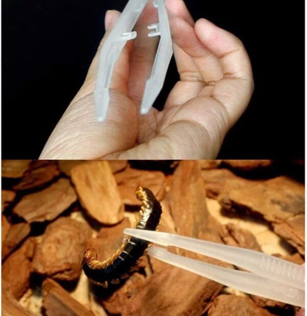 NA 3 Pcs Reptiles Feeding Tweezers Plastic Noctilucence Tweezers Reptile Feeding Tongs Reptile Feeding Tool for Iguanas Bearded Dragons Lizards Geckos Turtles Corals, 18CM - Image 8