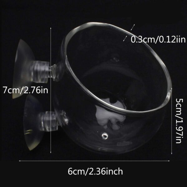 Smavles Aquatic Plant Crystal Clear Glass Cup 4 Pcs Aquatic Plant Cup Holder Plant Glass Pot Aquarium with Suction Cups for Aquatic Holder Fish Tank Accessory Aquarium Decoration - Image 2