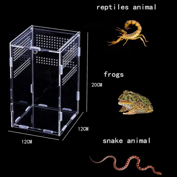 Topspitgo Tarantula Enclosure,Acrylic Transparent Terrarium,Stick Insect Enclosure,Reptile Breeding Box for Jumping Spider,Tarantula,Mantis,Snails,Spide,Scorpion,Centipede,Beetle (12x12x20cm) - Image 6