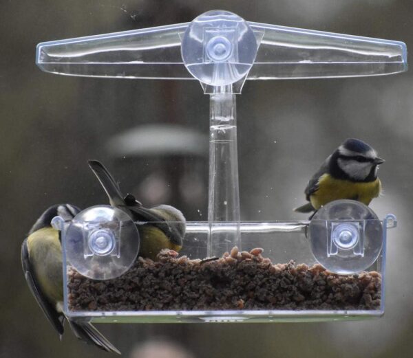 Supa Wild Bird Window Feeder | Enjoy Close Up Observation of Garden Birds, Comes Complete With 3 Heavy Duty Suction Cups. - Image 11