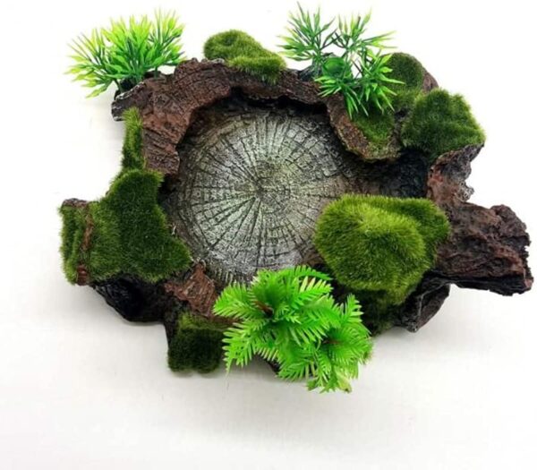 Tikwisdom Reptile water bowl, resin reptile platform designed by rocks and trees, habitat, decorative glass container, water tank decoration - Image 6