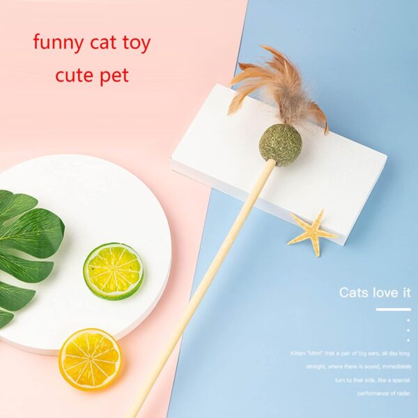 BAHJKASD Kitten Wand Sticks For Cats Sticks Chew Sticks Teeth Molar For Cat Kitten Teeth 20inch Long Cat Wand Toys For Indoor Cats - Image 5