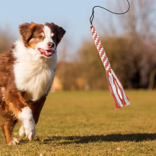 ASOCEA Flirt Pole for Dogs，Extendable Teaser Wand Pet Flirt Stick Outdoor Interactive Toy with 2 Chasing Tail Chewing Cotton Rope for Small Medium Large Dogs Training Pulling - Image 5