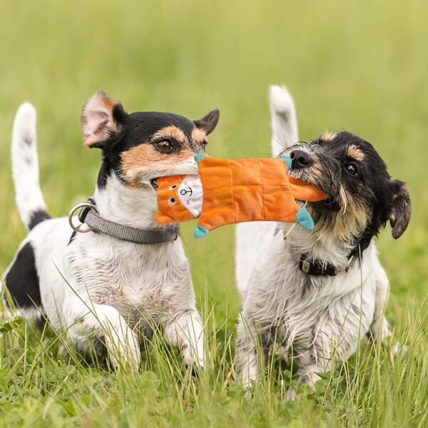AWOOF No Stuffing Squeaky Dog Toys Indestructible Dog Toys for Large Medium Small Dogs Tough Interactive Dog Toys for Boredom Variety with Animals or Fruits Durable Birthday Christmas Dog Toys Gift - Image 7