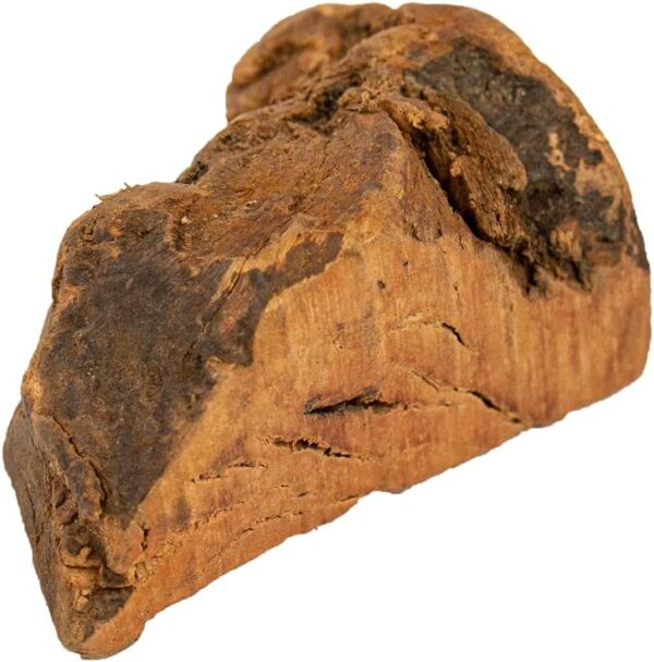 Wildfang® | Chewing Root Made from Tree Heather for Dogs, Dental Care & Masticatory Muscle Training, Natural chew Toy…… - Image 8