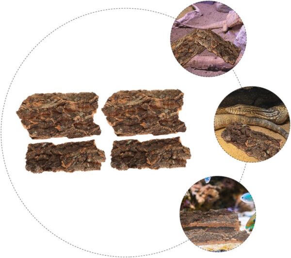 BELLIFFY 4 Pcs Reptile Bark Tank Rainforest Landscaping Material Terrarium Decor Bark Pet Supply Lizard Hiding Bark Dragon Beard Hut Reptile Feeding Decor Reptile Terrarium Decor - Image 8