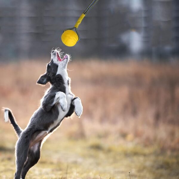 TEKCAM Dog Flirt Pole Extendable Teaser Wand with Interactive Dog Ball Tug Toy Outdoor Pet Flirt Stick Chew Toy Tether Lure Toys for Small Medium Large Dogs Training Pulling Exercise - Image 6