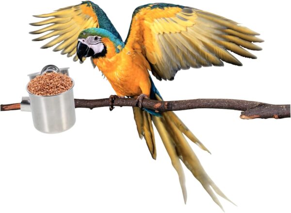 Happyyami 2pcs Stainless Steel Bird Bowl Cockatiel Pet Parrot Feeding Cups Hanging Bird Dish Bird Feeding Tray Parrot Food Bowls Bird Food Cup Parrot Feeding Bowls Cage Food Feeder Feeders - Image 8