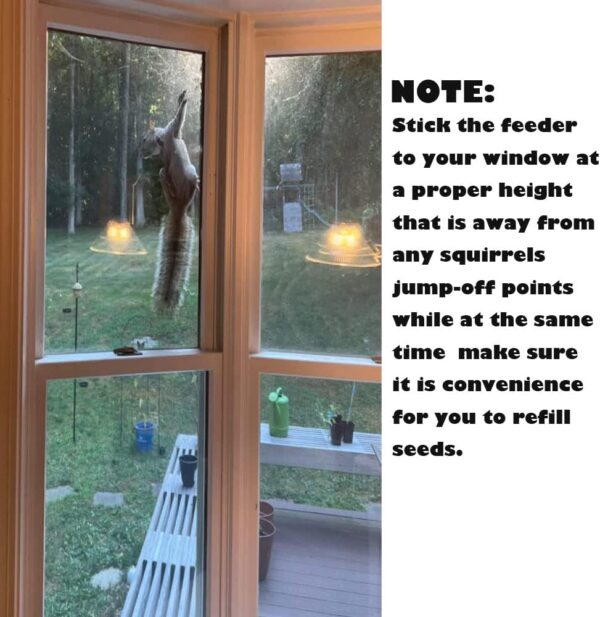 Bird Feeder Birds House for Outdoor, Window Bird Feeder with Strong Suction Cups for Wild Birds, Cardinal, Bluebird - Image 5