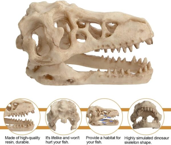 Saim Aquarium Ornaments, Large Dinosaur Skull Decorations Non-Toxic Vivarium Decoration Emulational Reptile Hide Aquarium Cave For Reptile and Fish - Image 2