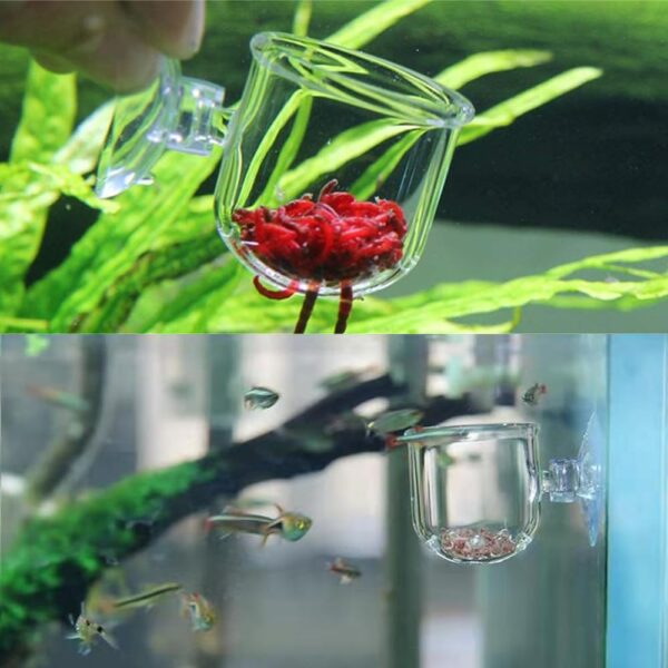 2 Pcs Red Worm Feeder Acrylic Fish Tank Plant Shrimp Feeder Bowl Floating Bloodworm Water Food Dish Fish Feeding Cup with Suction Transparent Fish Feeding Cup Tank for Aquarium Reptiles - Image 4
