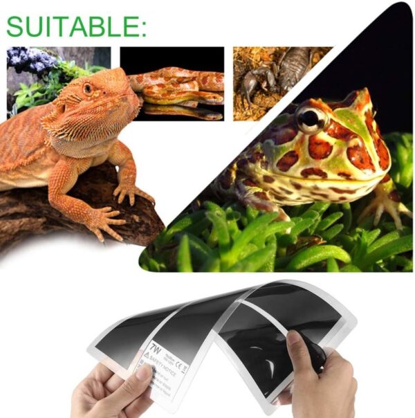 Reptile Heating Mat 5W/7W/14W/20W Waterproof Safety Adjustable Vivarium Pet Tank Warmer Mat Pad with Temperature Control Fit for Reptiles Turtle,Tortoise,Snakes,Lizard,Gecko,Spider,Snails（20W） - Image 2