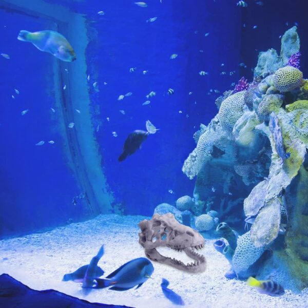 Saim Aquarium Ornaments, Large Dinosaur Skull Decorations Non-Toxic Vivarium Decoration Emulational Reptile Hide Aquarium Cave For Reptile and Fish - Image 6
