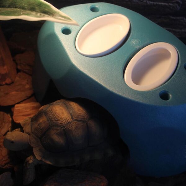 X-Institute Water Food Bowl Terrarium Bowls Worm Dish Ceramic Pet Bowls Anti-Escape Feeding Dish Birds Bowl Worm Dish Escape Proof - Image 4