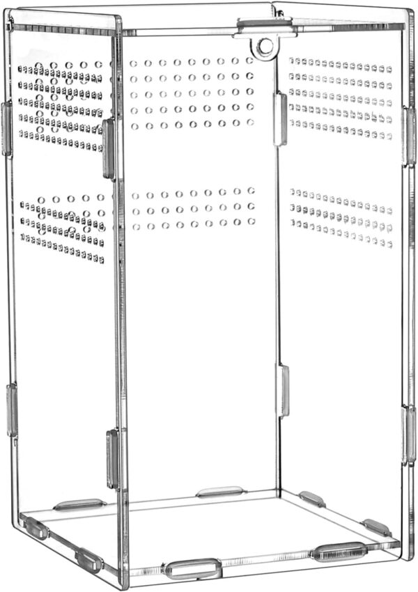 QWORK® Reptile Acrylic Feeding Box, Acrylic Transparent Insect Habitat Terrarium Case, 20×12×12cm for Praying Mantis, Spiders, Lizards, Snails - Image 7
