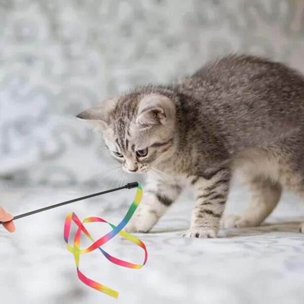 Pssopp 3 Pcs Interactive Cat Wand Toys,Colorful Boredom Relief Funny Interactive Cat String Stick Toy Colorful Ribbon Charmer Cat Teaser Toy for Cats - Image 4