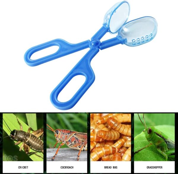 Frotox Reptile Feeding and Poop Cleaning Tools Amphibian Feeding Tongs Clip with Vents for Fish Aquariums and Various Insects - Image 4