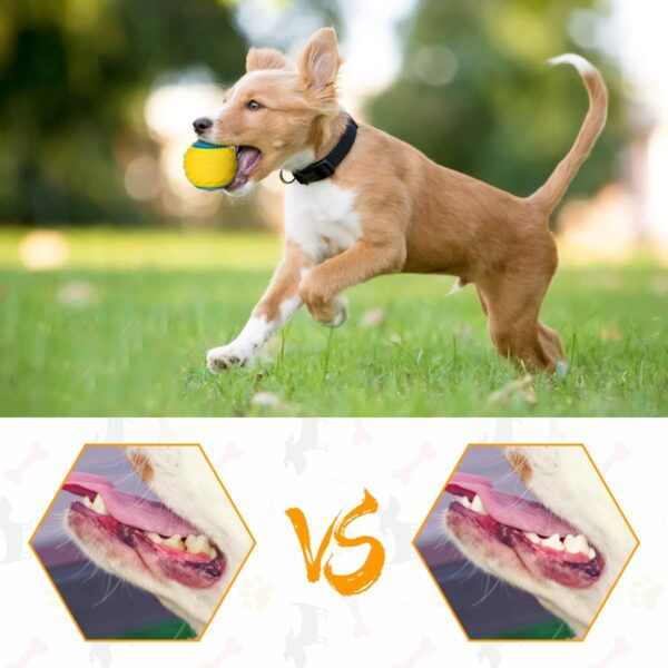 Rightwell Dog Balls, 3Pcs Squeaky Dog Ball, Scooby Doo Dog Ball Toy Teeth Cleaning Puppy Interactive Chew Durable Toy - Image 5