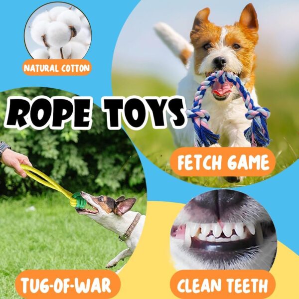 10Pcs Dog Chew Toys for Small Dogs, Puppy Teething Ball Toys, Dog Toys for Boredom, Squeaky Plush Dog Toys Set for Small Medium Dogs - Image 4
