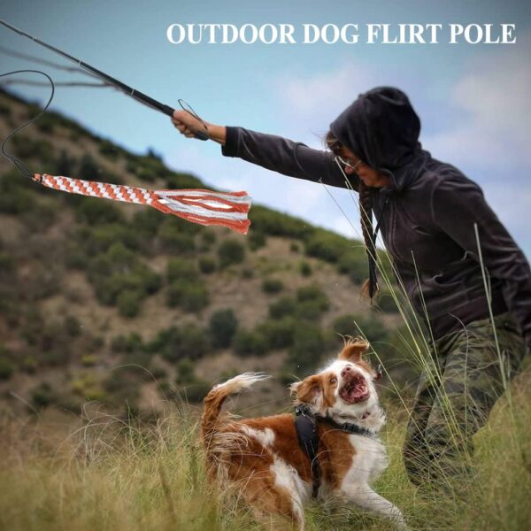 ASOCEA Flirt Pole for Dogs，Extendable Teaser Wand Pet Flirt Stick Outdoor Interactive Toy with 2 Chasing Tail Chewing Cotton Rope for Small Medium Large Dogs Training Pulling - Image 6