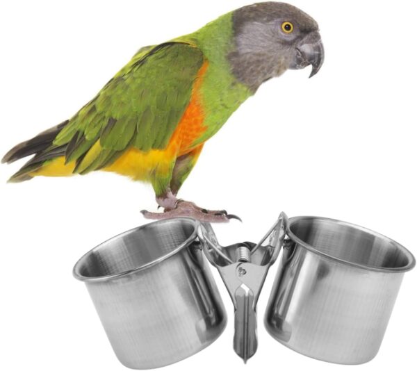 BELLIFFY 3pcs Parrot Feeder Bird Food Bowl for Cage Parrot Feeding Dish Bird Feeder Parakeet Feeder Food and Water Cups for Bird Perches Pet Feeder Reminder Parrot Feeding Cups Clamp - Image 6