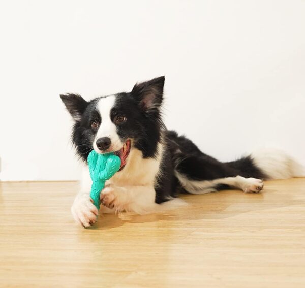 Acecy Dog Toys, Indestructible Cactus Chew Toy, Natural Rubber Milk Flavor, Puppy Teething Toys for Small Mediul Large Breed - Image 7