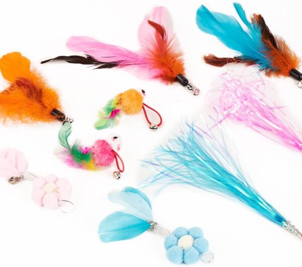 EASY JOY 11 Pcs Interactive Cat Toys, Interactive Cat Feather Toys, 2 Cat Wand, 9 Replaceable Toys, Bird Cat Toys for Small and Large Cats - Image 4