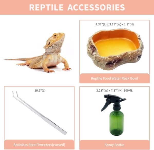 Reptileg Growth tall Terrarium set (PC), 8''*8''*11''with Top Sliding Door Screen Ventilation Reptile Terrariums for Snake, Frog,Insect,Tarantula,Hermit crab，Jumping spider,Iguana,Bearded dragon - Image 5