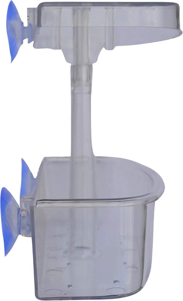 Supa Wild Bird Window Feeder | Enjoy Close Up Observation of Garden Birds, Comes Complete With 3 Heavy Duty Suction Cups. - Image 8