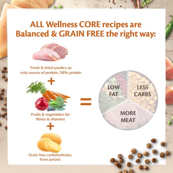 Wellness CORE Kitten Original, Dry Cat Food, Kitten Food Dry, Grain Free, High Meat Content, Chicken & Turkey, 1.75 kg - Image 4