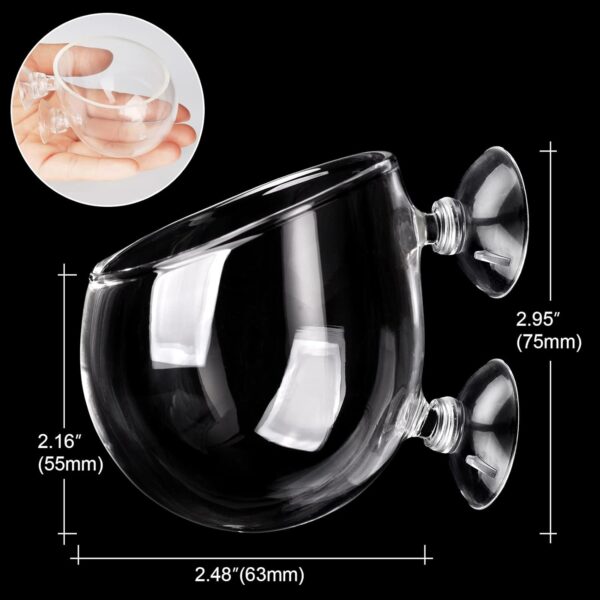 WEAVERBIRD Glass Plant Pot Aquarium with 2 Suction Cups,1Pcs Aquarium Planter Holder Cup Pot,Small Terrarium,Aquarium Mini Glass Vase for Hydroponic Plant for Fish/Shrimp Feeding Fish Tank Decor - Image 2