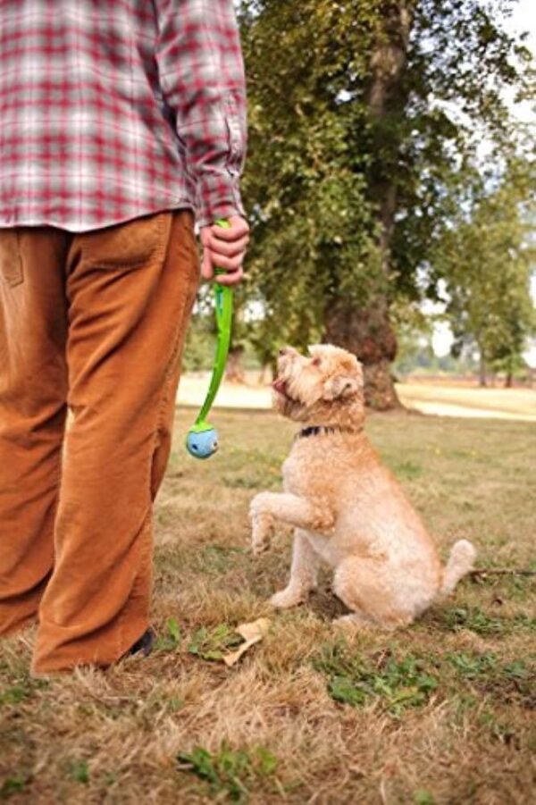 ChuckIt! Fetch Medley Gen 1 Rubber Dog Balls, The Whistler, Max Glow & Rebounce Balls for Dogs, Durable High Bounce Launcher Compatible Dog Toy, Small, 3 Pack - Image 6