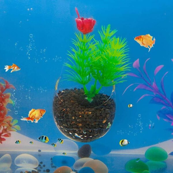 SENZEAL 2x Plant Glass Cup Pot with 4x Suction Cups for Fish Tank Aquarium Aquascaping - Image 7