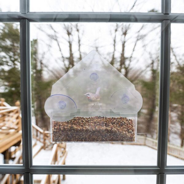 Window Bird Feeder with Strong Suction Cups,Bird Feeding Station,Clear Acrylic Hanging Bird Feeder with 3 Strong Extra Suction Cups and Seed Tray for Small Birds Decorate Your House - Image 6