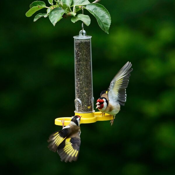 Jacobi Jayne® Pre-filled Niger Bird Feeders for Garden Birds Goldfinch Finder Pack of Two - Hanging Bird Feeders For Small Birds. Niger Bird Feeder Hanging Wire Included, Yellow - Image 4