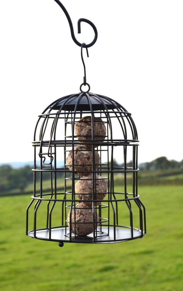 Supa Premium Wild Bird Cage Fat Ball Feeder, Deters Squirrels and Larger Birds Such As Doves & Pigeons - Image 2