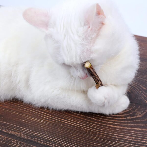 Newoutset 33 Pcs Cat Catnip Sticks, Cat Catnip Chew Toys Natural, Silvervine Matatabi Catnip Sticks Toys, Cat Kitten Teething Toys Sticks for Cat Kitten Teeth Cleaning, Including 3 x Cat Mouse Toy - Image 6