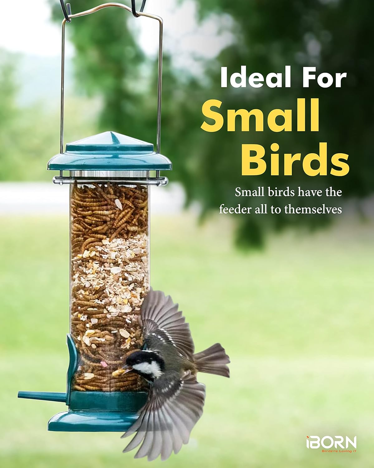 iBorn Metal Bird Feeders Hanging Bird Feeder For Small Birds for Garden Outdoors,Set of 2 Seed Feeder All Metal Painted Rust-resistant, Green - Image 2