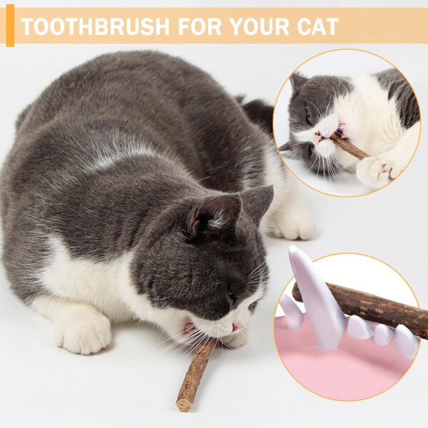 Silvervine Chew Sticks, Kitten Teething Toys for Indoor Cat Chew Toy Natural Matatabi Cat Catnip Sticks Cat Teeth Cleaning and Stress Release - Image 5