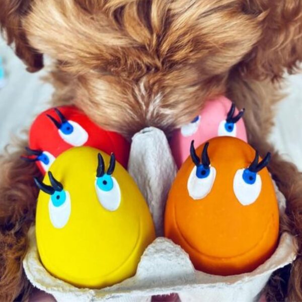 Mushroom & Co OVO the Egg Original (set of 4 eggs), catch and fetch toy, ideal for mini and small dogs - Image 2