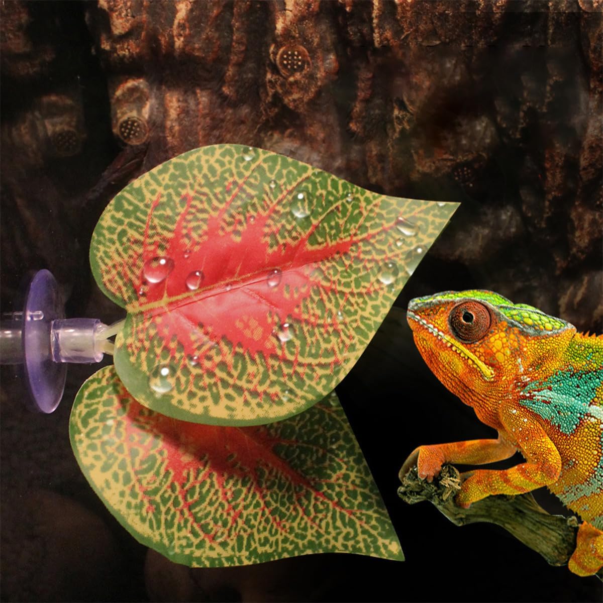 ZONADAH 5 Pcs Plastic Artificial Plant Leaf with Suction Cup Fish Tank Betta Hammock Bed Leaf Fish Tank Leaves Decorations Ornaments for Betta Aquarium Fish Tank - Image 6