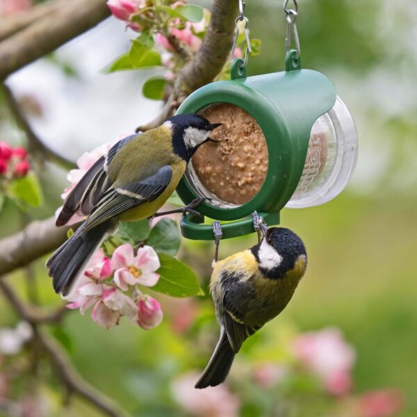 Flutter Butter Starter Pack with 2 Flutter Butter Refills - Peanut Butter for Birds Wild Bird Food - Small Bird Feeder Helps Attract More Birds to Your Garden - Flutter Butter Feeder for EcoRefills - Image 7