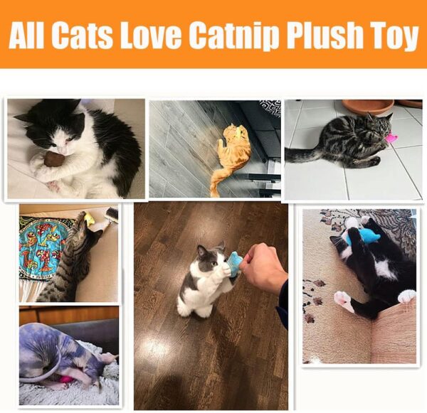 12 Pcs Cat Toys for Indoor Cats Kitten Plush Catnip Toy Cat Teeth Cleaning Toys Interactive Cat Feather Teaser Wand Spring Toy - Image 4