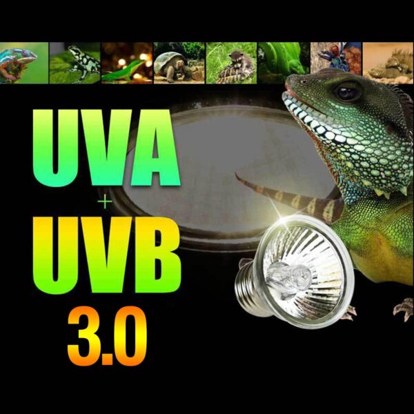 PewinGo 4 Pack 50W UVA UVB Heat Lamp Bulbs for Reptiles, Heating Emitter Bulbs for Amphibian, Terrariums, Cages, for Tortoise, Snake, Frog, Lizard, Chameleon, Hermit Crab, Cockatoo. Halogen, Orange - Image 5